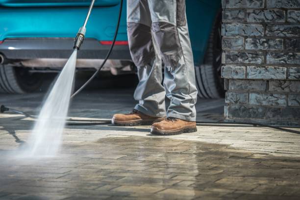 Best Building Exterior Washing  in Astor, FL